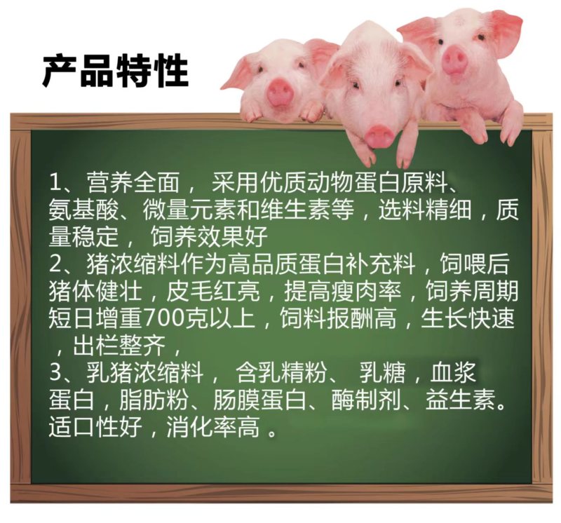 猪用浓缩饲料快速增肥日长三斤厂家发货80斤/40斤