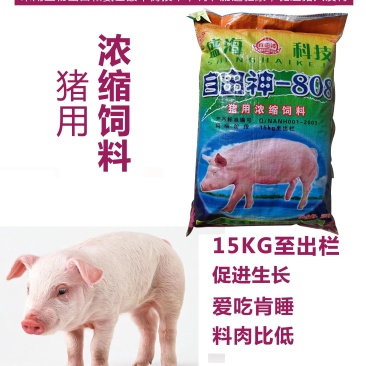 猪用浓缩饲料快速增肥日长三斤厂家发货80斤/40斤
