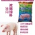 猪用浓缩饲料快速增肥日长三斤厂家发货80斤/40斤