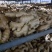 优质大姜水洗姜大黄姜面姜干姜一手货源产地供应欢迎来电