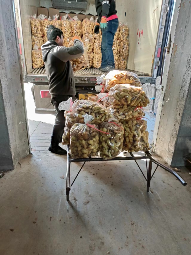 优质大姜水洗姜大黄姜面姜干姜一手货源产地供应欢迎来电