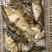 【精】水库自然放养鳜鱼吃天然饵料长大味道鲜美发全国