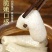 古田无裙竹荪脱裙竹荪杆煲汤食材鲜香美味爽口包邮