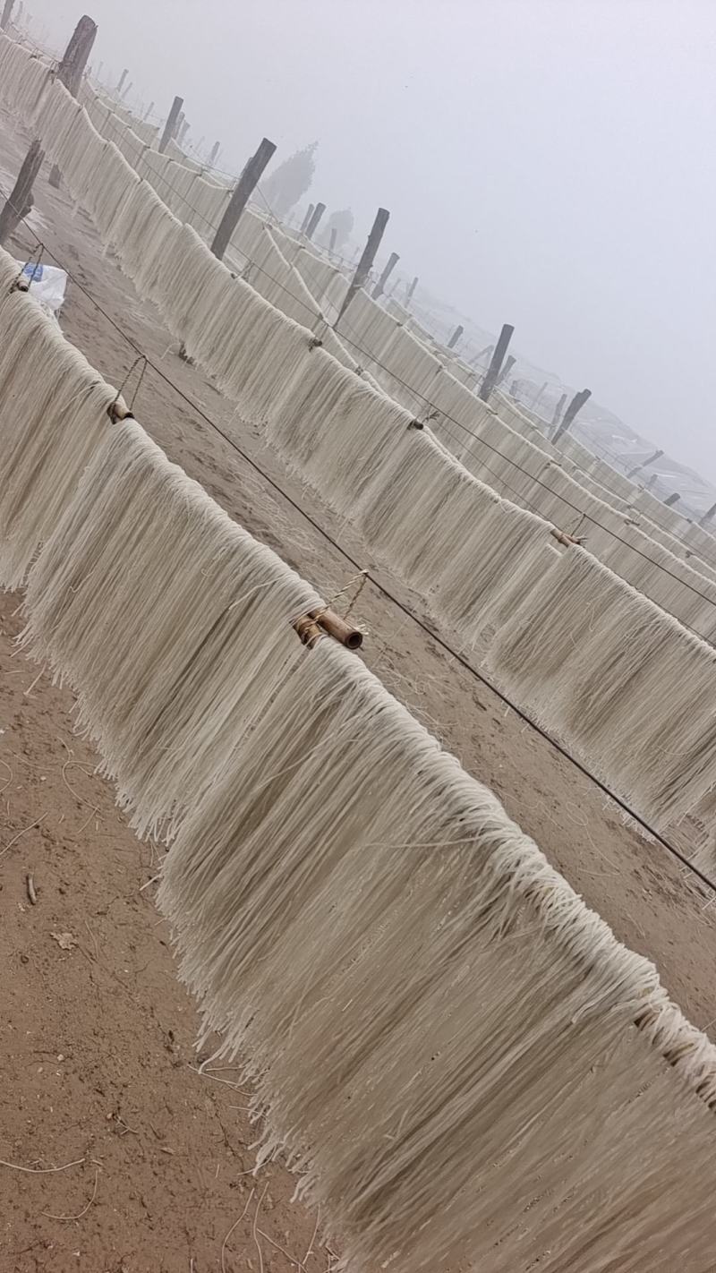 山药粉条