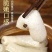 农家无裙竹荪脱裙竹荪杆煲汤食用鲜香美味爽口