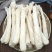农家无裙竹荪脱裙竹荪杆煲汤食用鲜香美味爽口