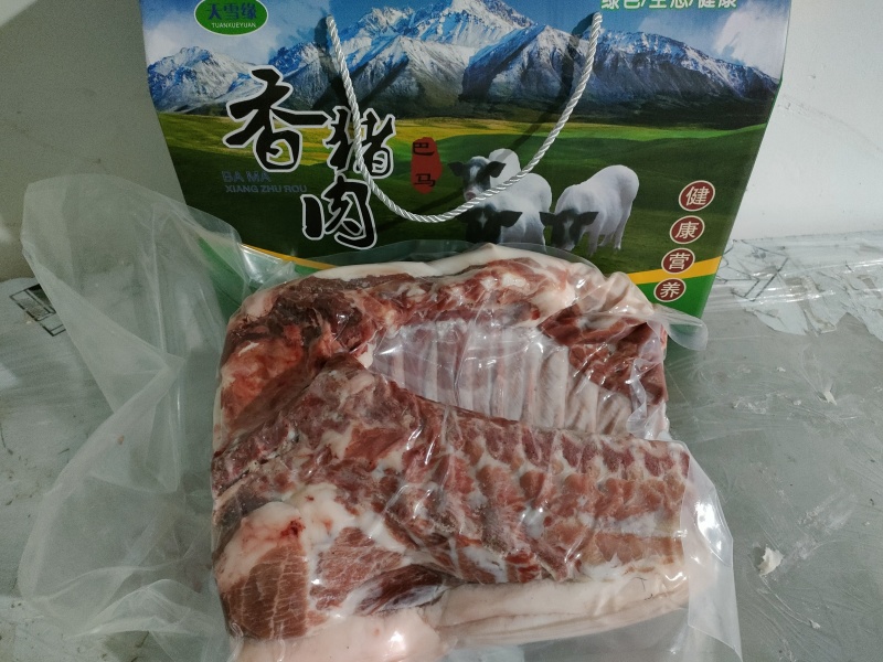 大场地自由活动自繁自养无添加青草玉米饲喂十个月巴马香猪