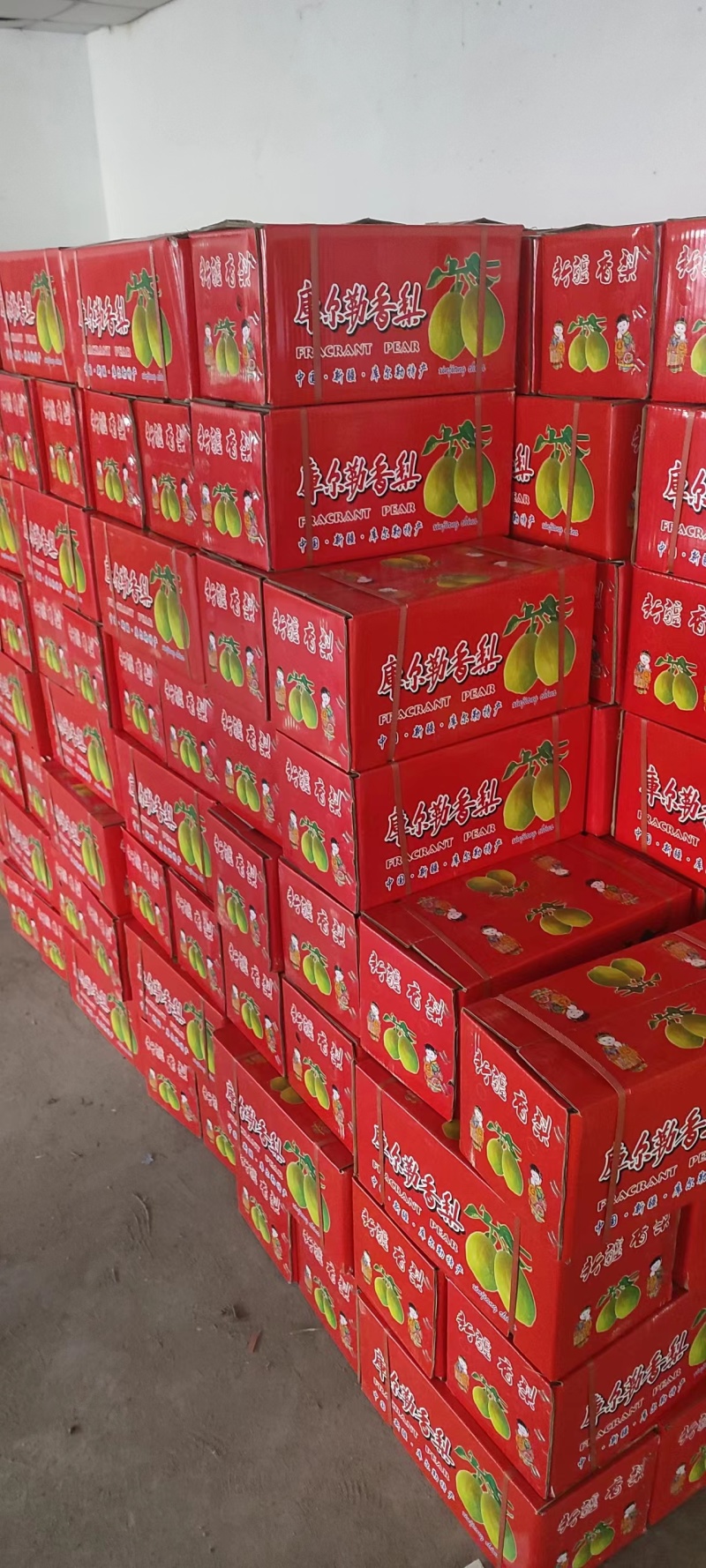 香梨，礼盒香梨大量供应，河北产区大量接单欢迎采购