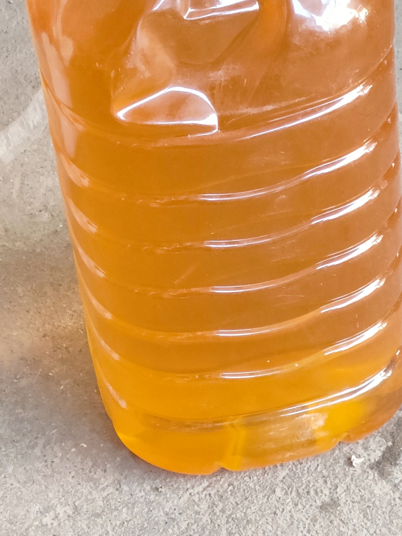 山茶籽自家茶籽油