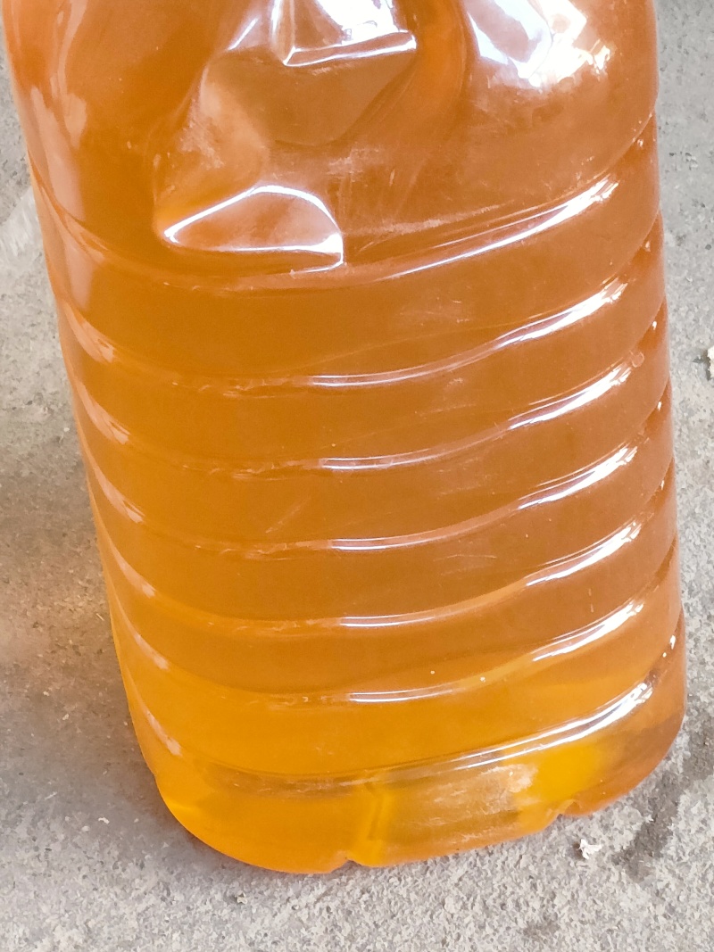 山茶籽自家茶籽油