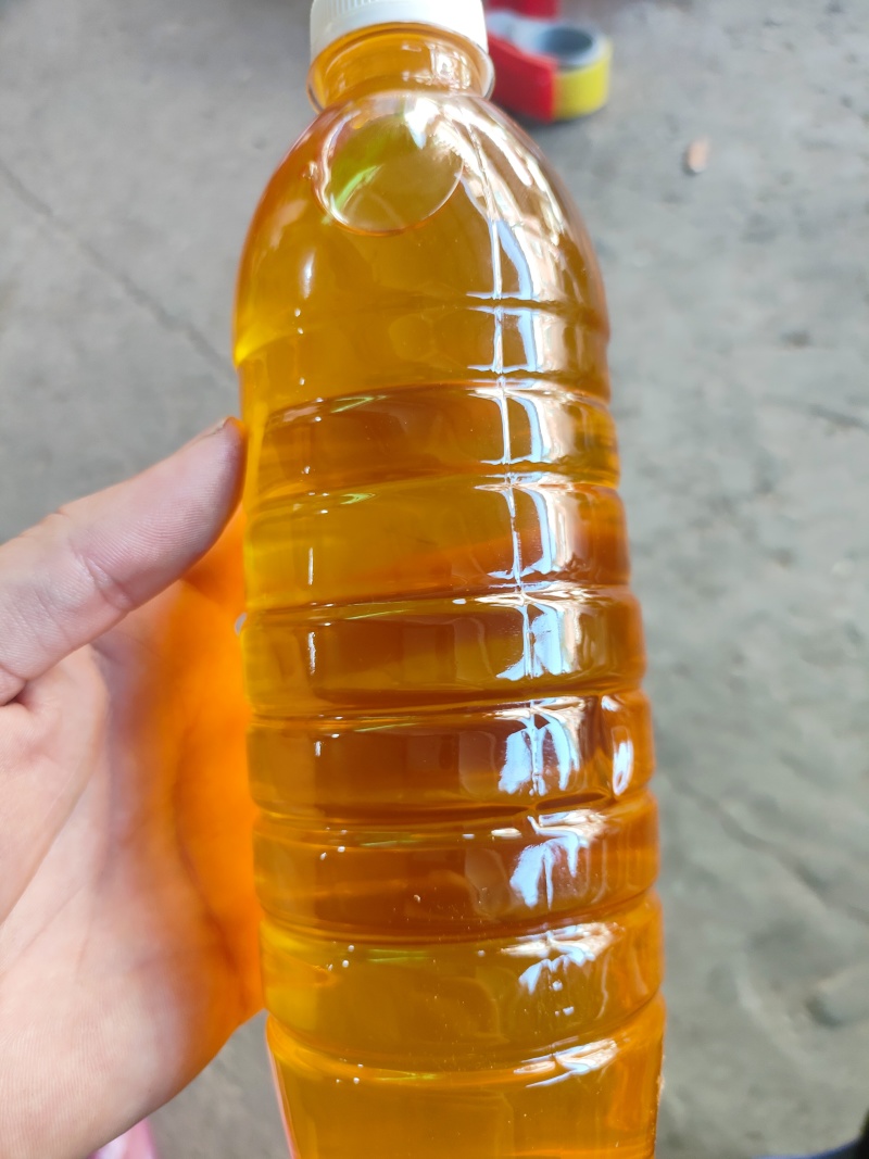 山茶籽自家茶籽油