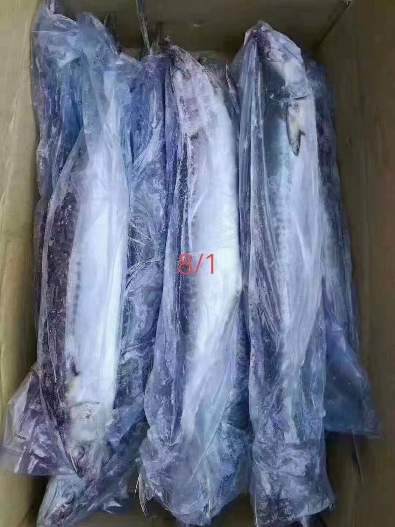 燕鲅鱼/马鲛鱼
