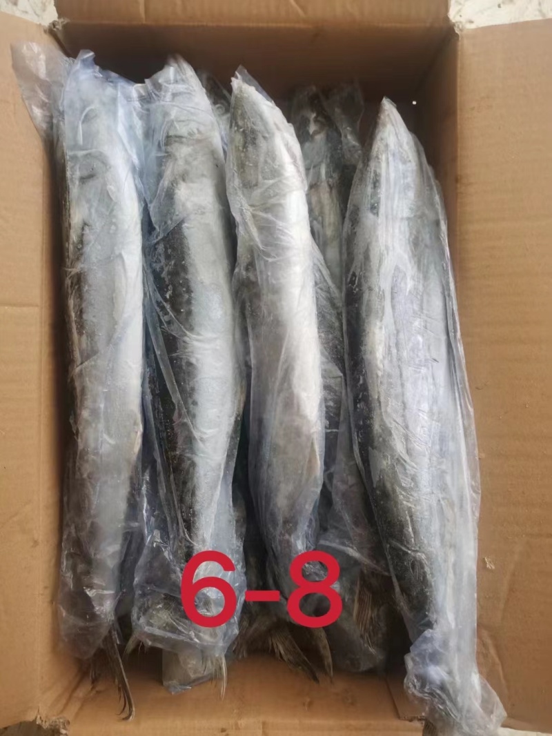 燕鲅鱼/马鲛鱼