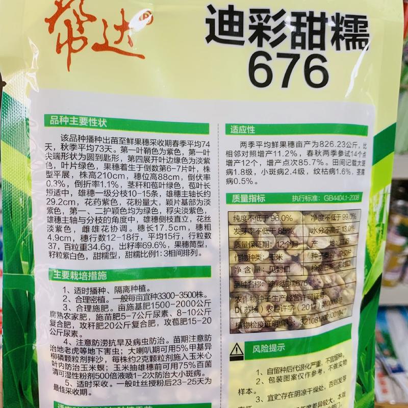 迪彩甜糯676玉米种子矮杆大棒甜糯玉米种子抗病强特好吃