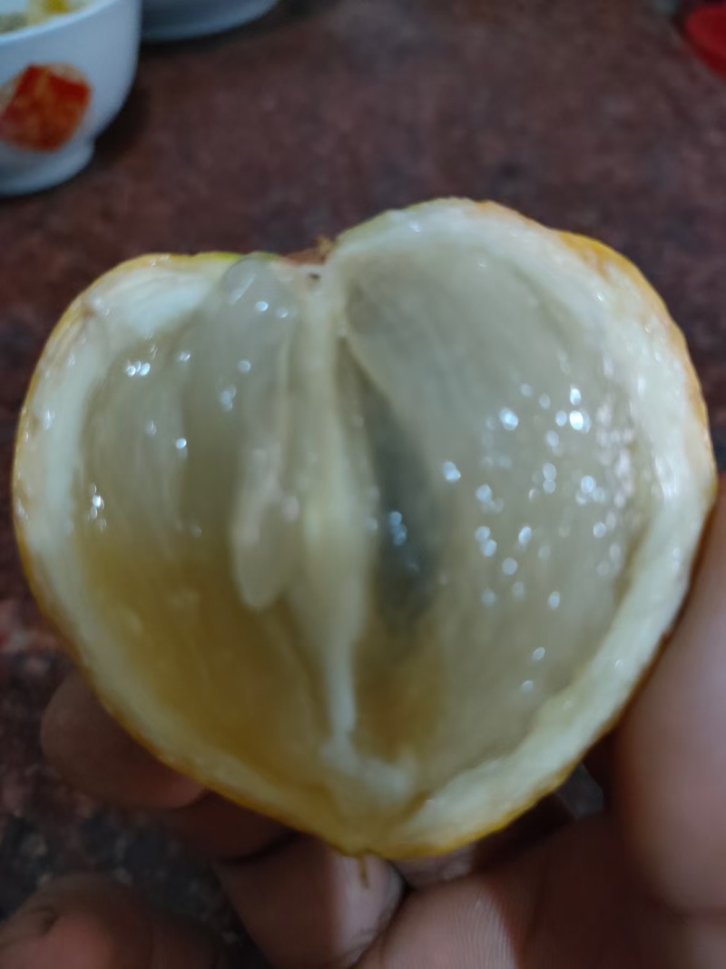 黄晶果6号黄宝石黄晶果苗