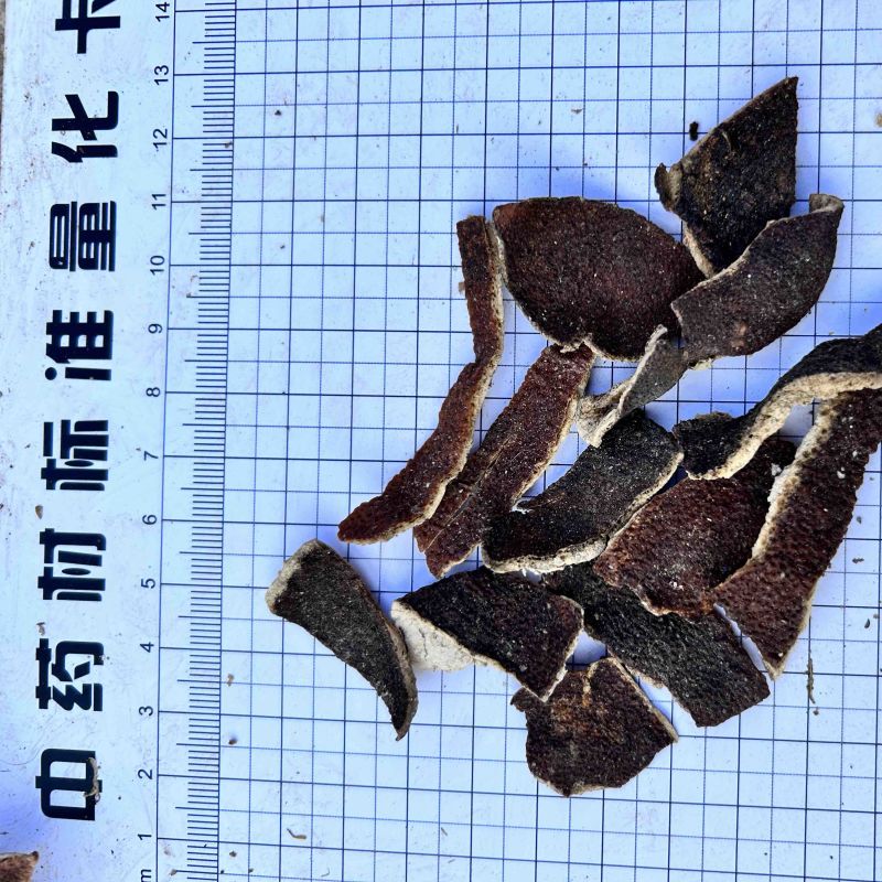 高规格陈皮丝1-5年，高含量，无硫