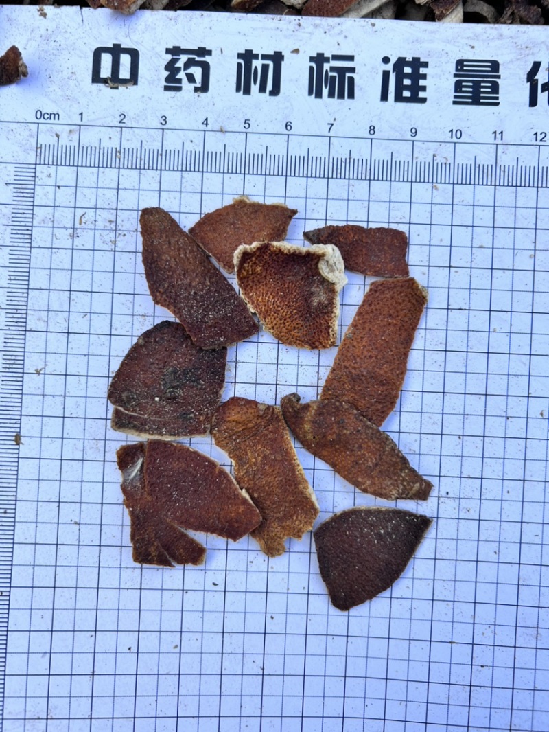 高规格陈皮丝1-5年，高含量，无硫