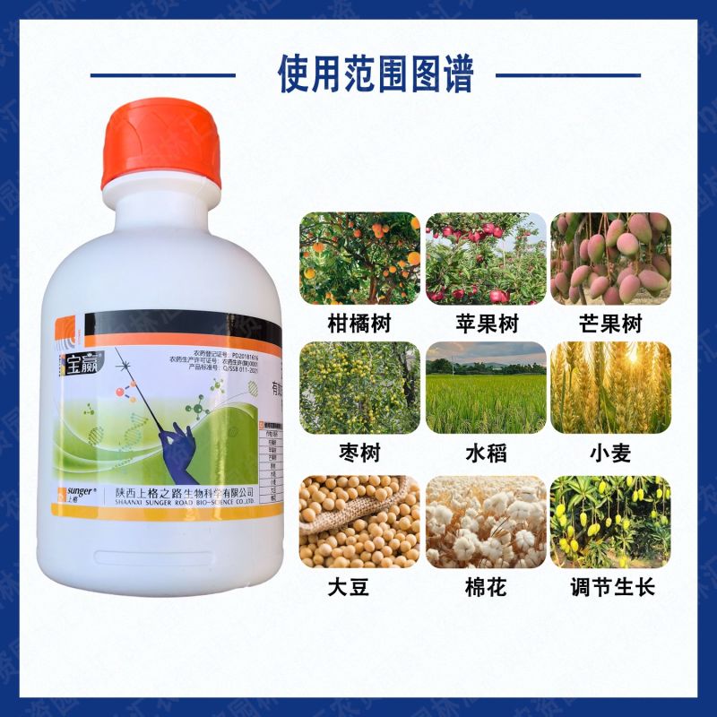 上格之路宝赢20%苯肽胺酸植物生长调节剂芒果苹果水稻坐