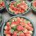 精品大凉山草莓品质保证质量保证售后包证报价真实