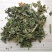芙蓉叶干货中药材量大从优！欢迎选购！
