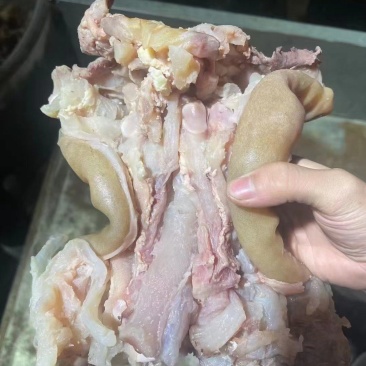 【熟食牛蹄】全去骨熟牛蹄，每一个独立真空包装，