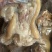 【熟食牛蹄】全去骨熟牛蹄，每一个独立真空包装，