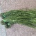 贡菜大量有货价格便宜对接商超火锅店市场