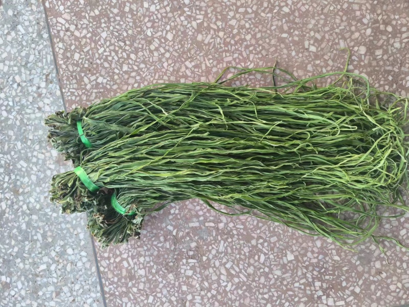 贡菜大量有货价格便宜对接商超火锅店市场