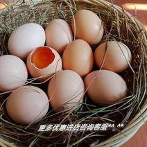 云南昆明鸡蛋土鸡蛋炖炒不变色基地直发360枚