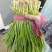 山东精品韭菜，品质保证，大量有货，欢迎来电咨询