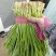 山东精品韭菜，品质保证，大量有货，欢迎来电咨询