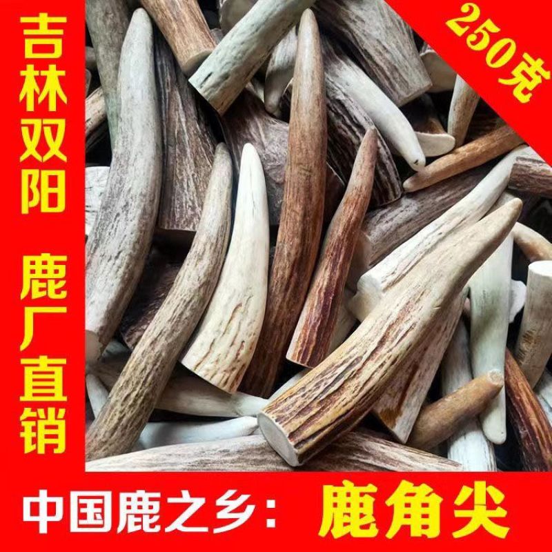 鹿角尖吉林双阳梅花鹿之乡免费打粉鹿角实心把件料雕刻原料把