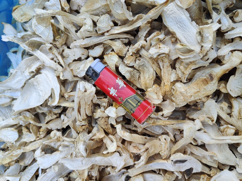 云南大球盖菇_干货