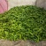 三0一，，，大量供货，质量好面积大，产地直发