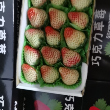 安徽红颜，产地供应