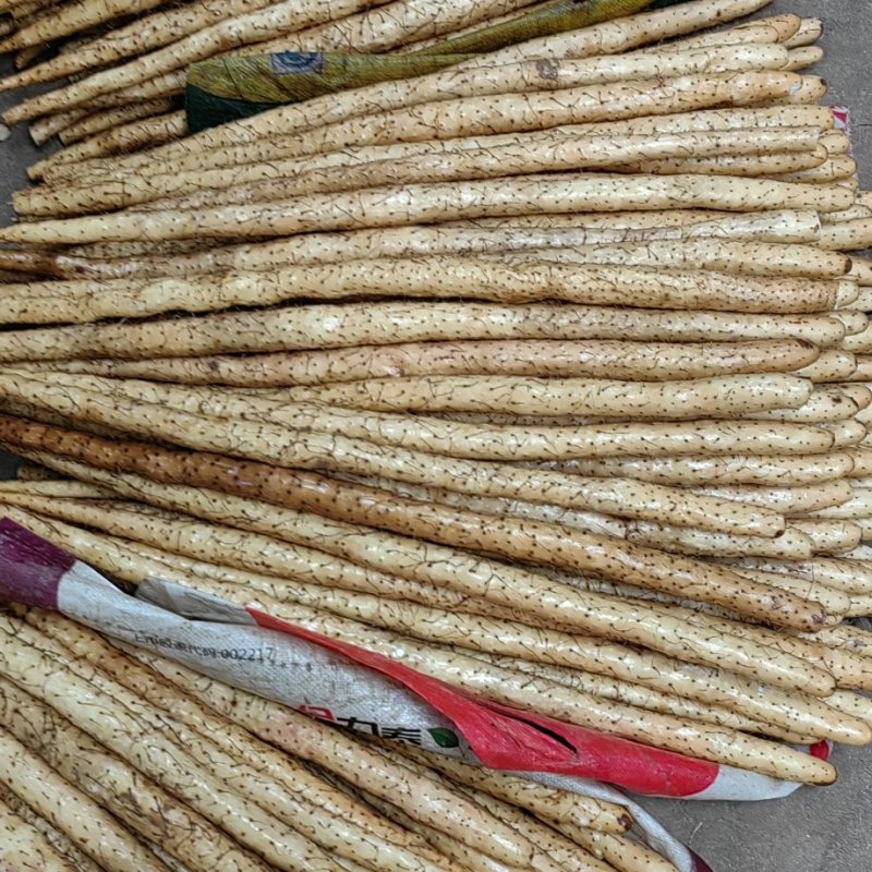 2023大名白玉山药新白玉山药上市了，价格合适，欲购从速