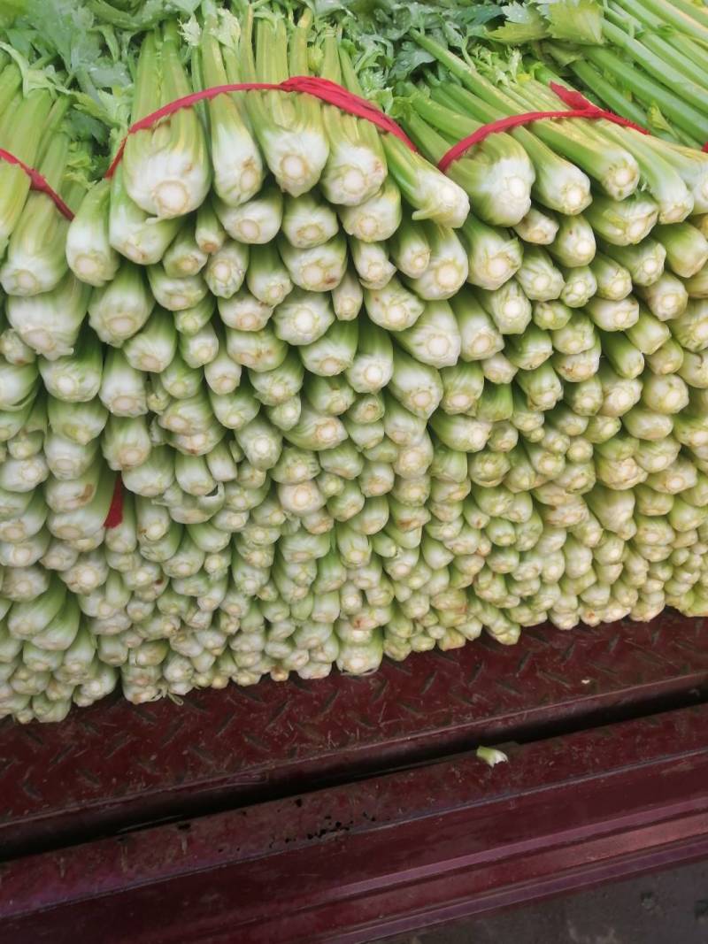 芹菜