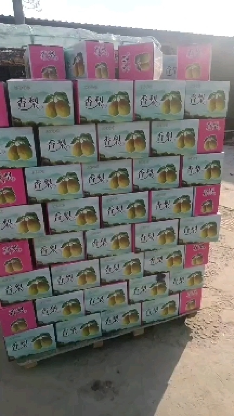 库尔勒礼品香梨。质量好。口感脆甜。老少皆宜。
