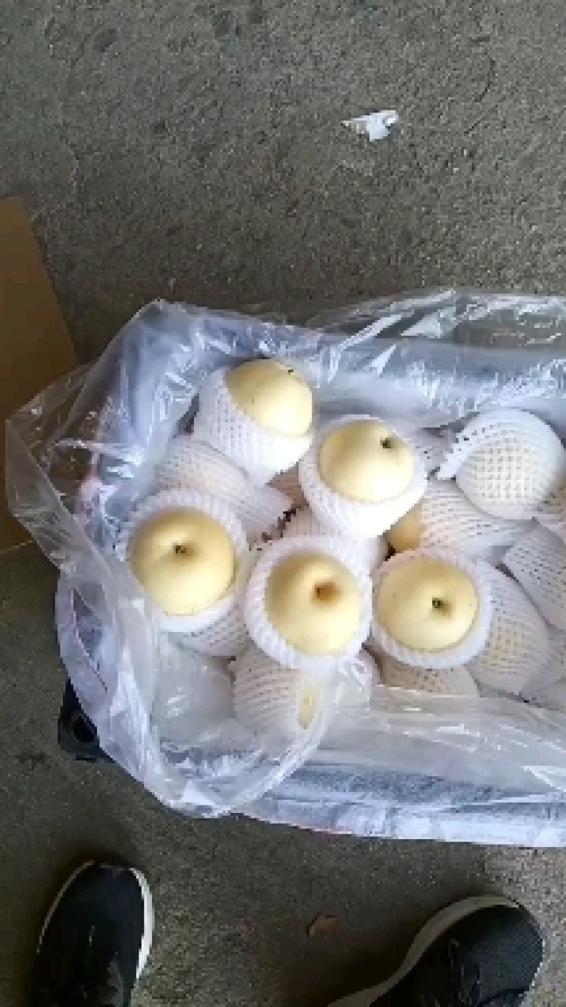 库尔勒礼品香梨。质量好。口感脆甜。老少皆宜。