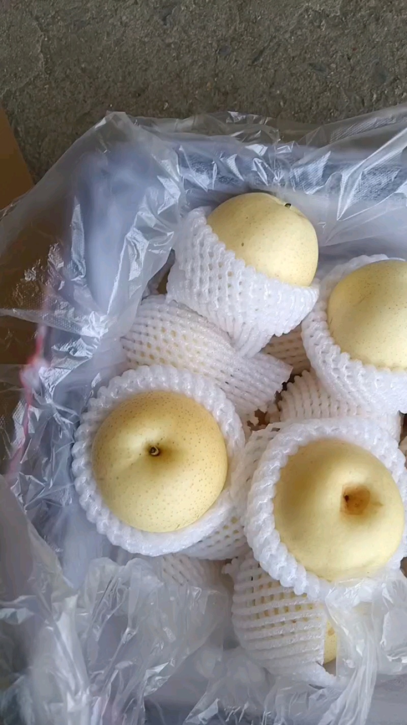 库尔勒礼品香梨。质量好。口感脆甜。老少皆宜。