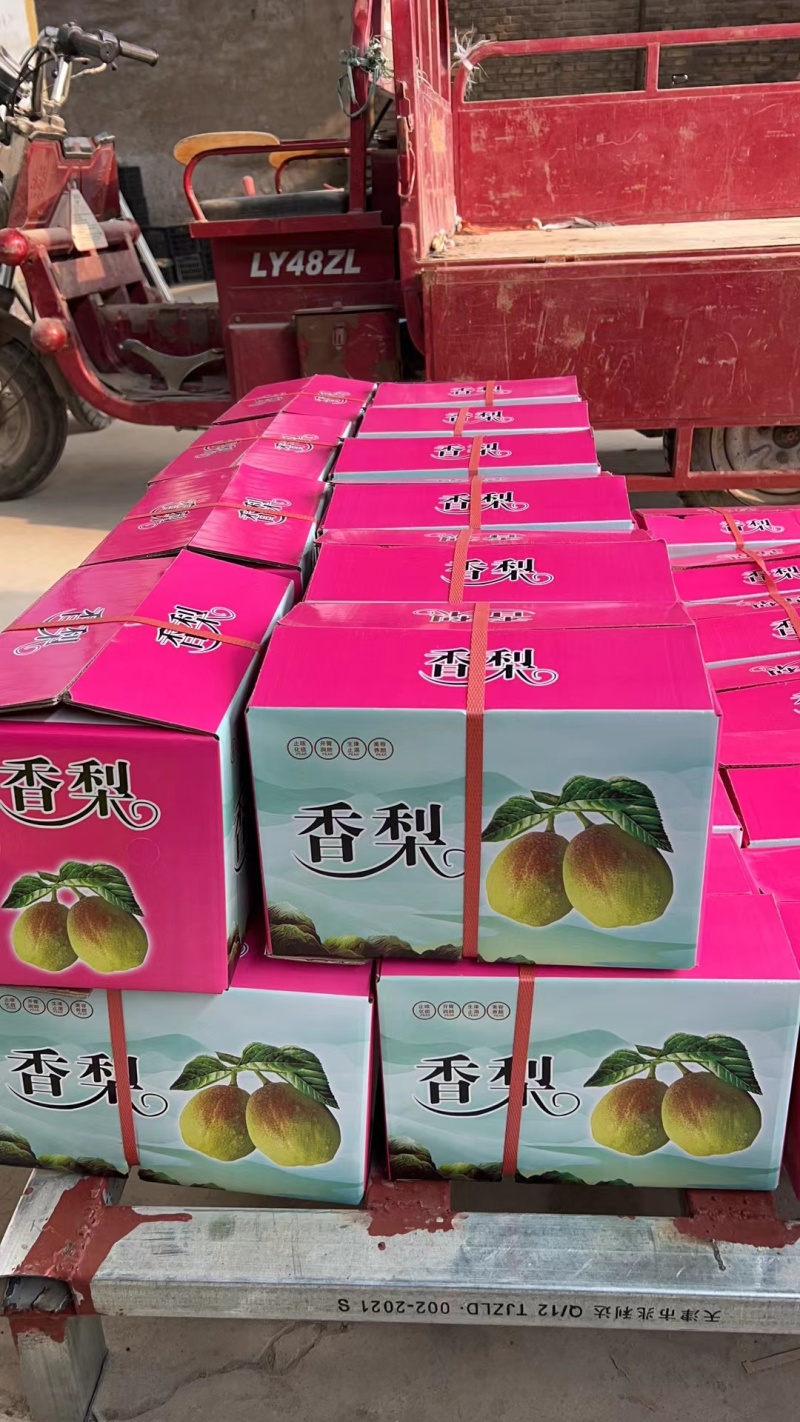 库尔勒礼品香梨。质量好。口感脆甜。老少皆宜。