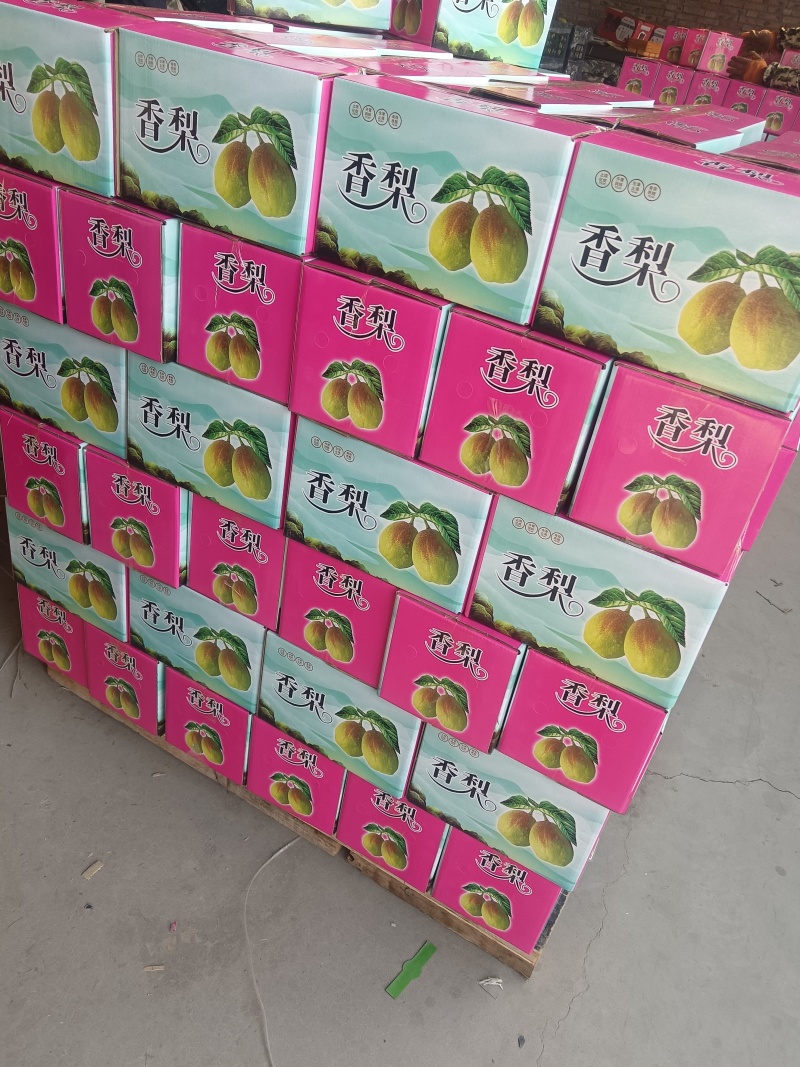 库尔勒礼品香梨。质量好。口感脆甜。老少皆宜。