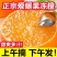 四川爱媛38号果冻橙子新鲜水果应季现摘现发整箱冰糖橙