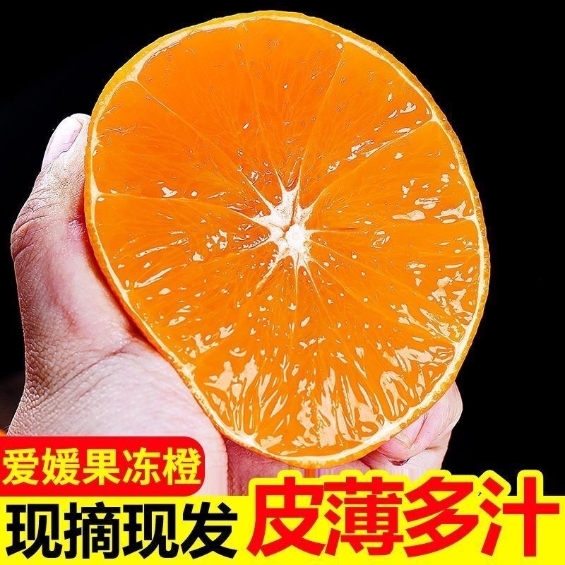 四川爱媛38号果冻橙子新鲜水果应季现摘现发整箱冰糖橙