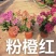 三角梅各种颜色填的价格都不一样以需要那款为主欢迎询价