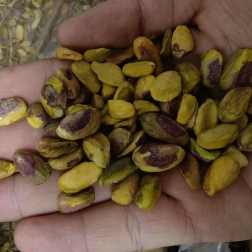 开心果仁生料整个杯半颗粒。