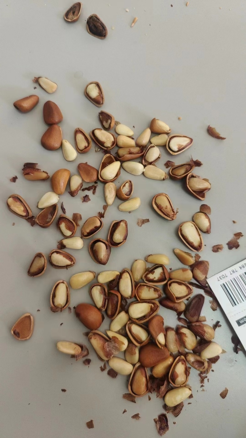 开心果仁生料整个杯半颗粒。