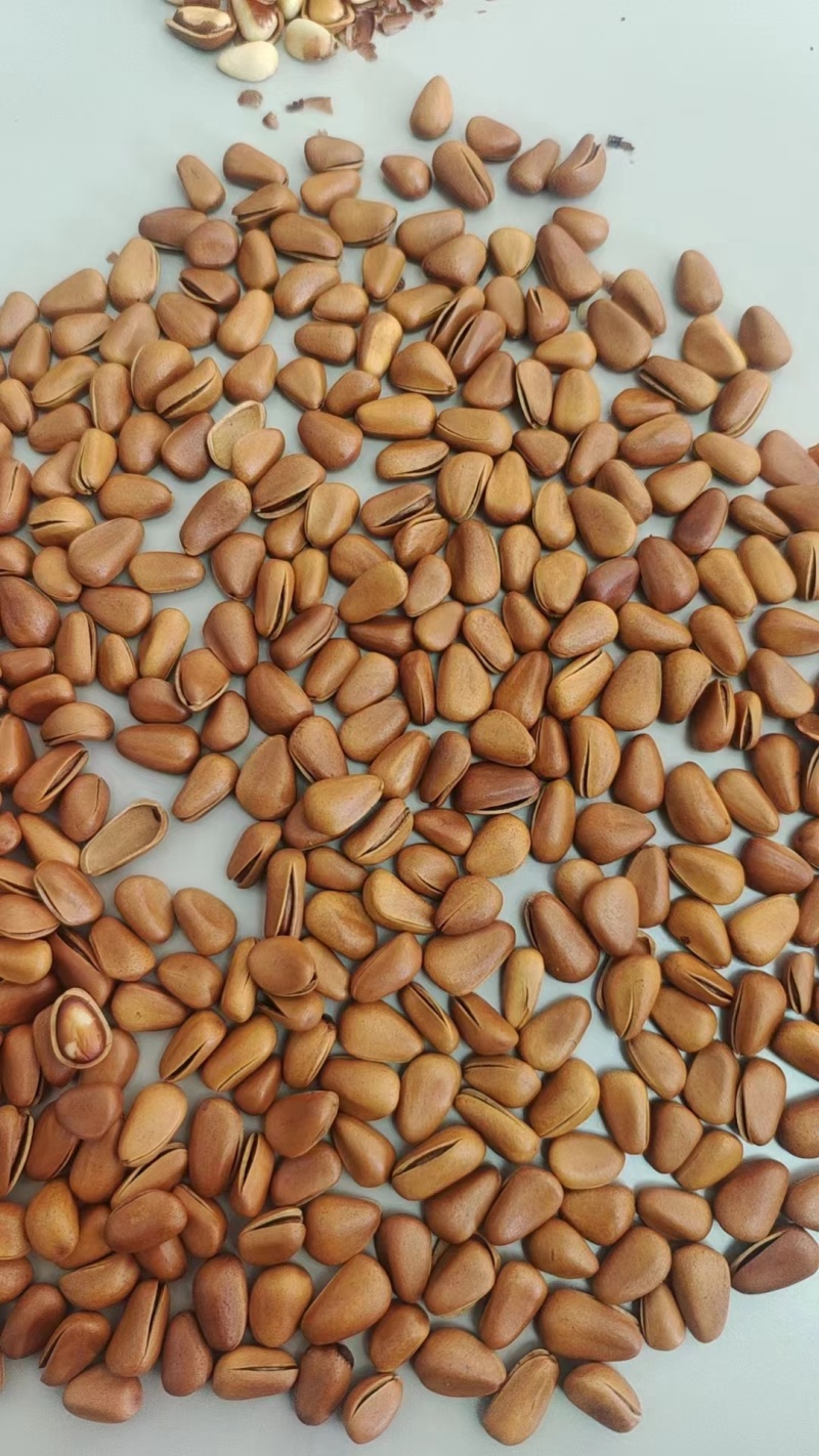 开心果仁生料整个杯半颗粒。