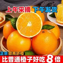 （热卖）正宗赣南脐橙一件代发，支持在线下单，果园发货甜爆