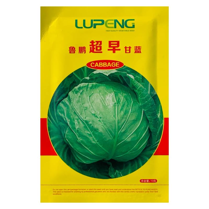 水果甘蓝种子早熟春秋品种，黄心甘蓝品种种子